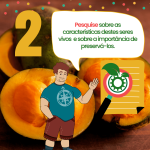 Ideia de criança passo 2